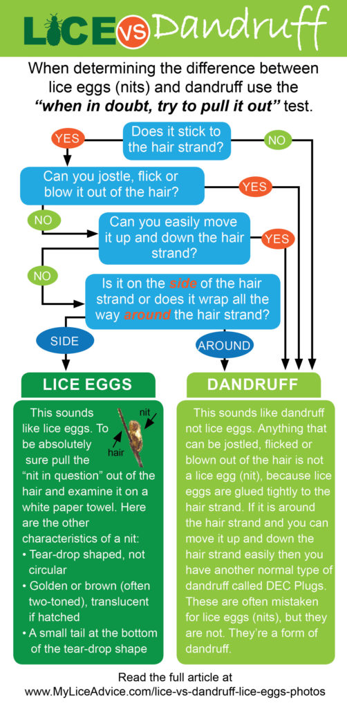 Lice vs Dandruff - 7 Key Differences Between Lice Eggs and Dandruff