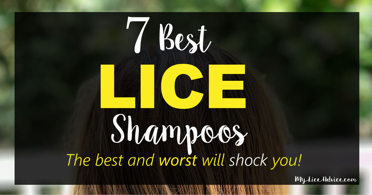 13 Best Lice Treatment Shampoos for Head Lice and Super Lice in 2023