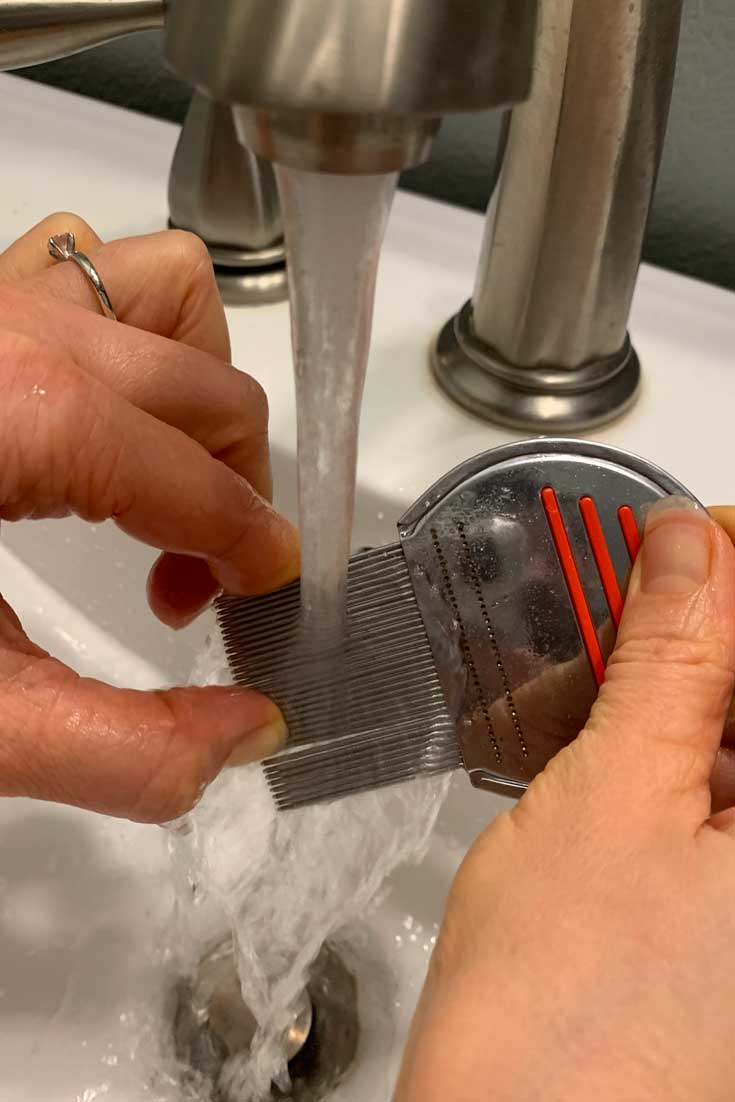 Clean-comb-under-running-water