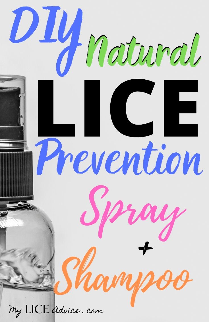 spray bottle filled with clear liquid, presumably DIY lice prevention spray