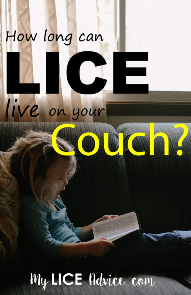 How Long Lice Can Live on Your Couch and Other Furniture