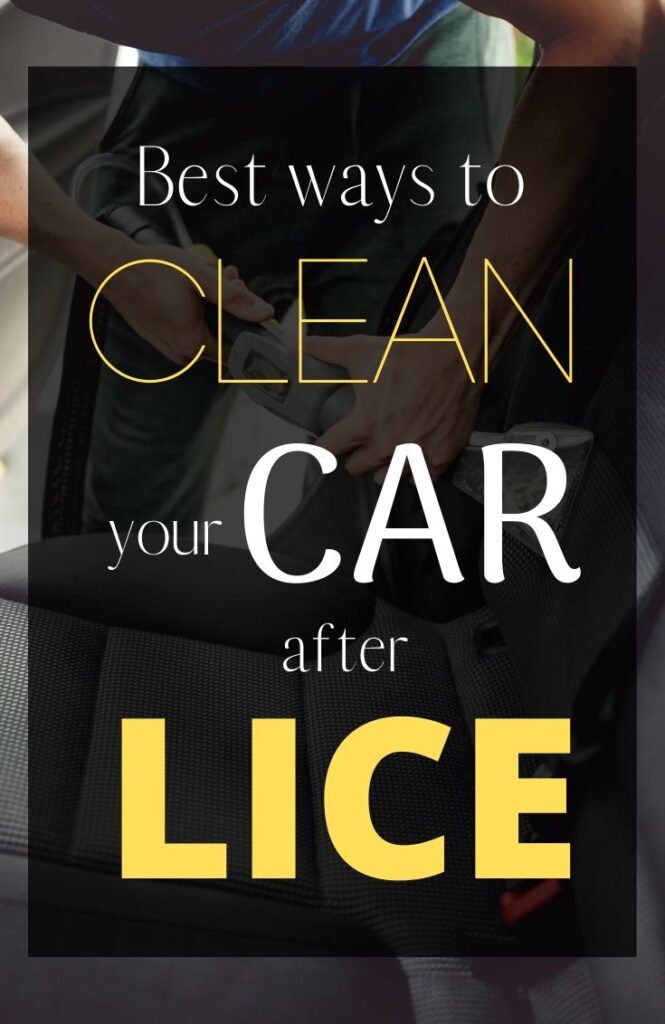 Lice and Car Seats 5 Proven Ways to Get Lice out of Your Car
