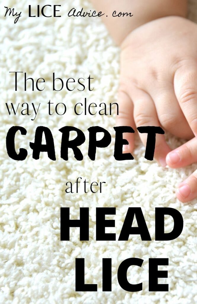 Lice and Carpets Proven Ways to Treat Carpet after Head Lice