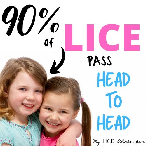 two girls snuggling, arrow pointing and words "90% of lice is passed Head-to-Head"