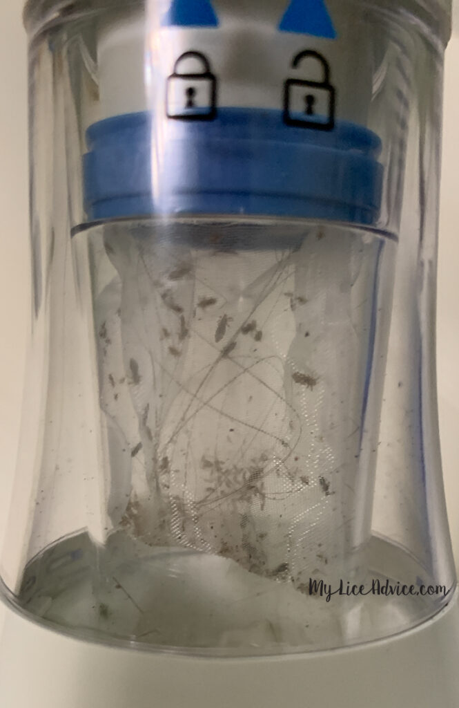 5 Best Head Lice Combs to Get Rid of Lice Eggs and Nits My Lice Advice