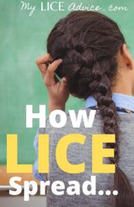 how lice spread