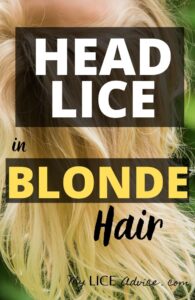 Lice In Blonde Hair Lice Eggs Pictures And Unique Challenges