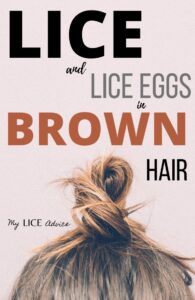 lice and lice eggs in brown hair Pinterest image