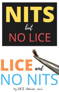 nits but no lice and lice but no nits thumbnail