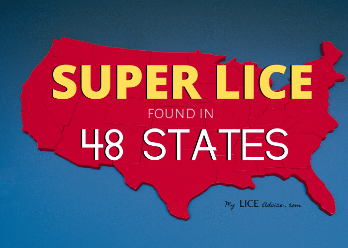 Map of the united states in red; the words SUPER LICE 48 STATES is written across the image.