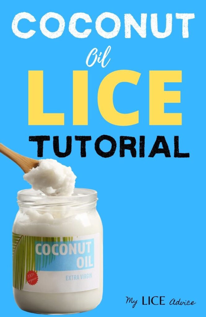 Coconut Oil for Head Lice Tutorial My Lice Advice