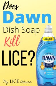 bottle of dawn dish soap, presumably to be used for head lice lice