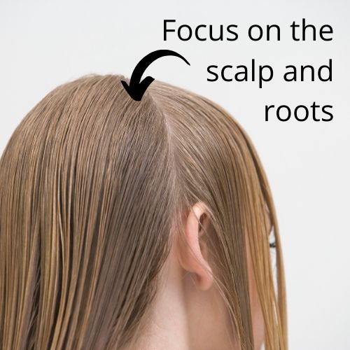 blond child with hair parted and arrow pointing the roots and the scalp