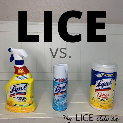 Does Lysol Kill Lice? Experiment & Video - My Lice Advice