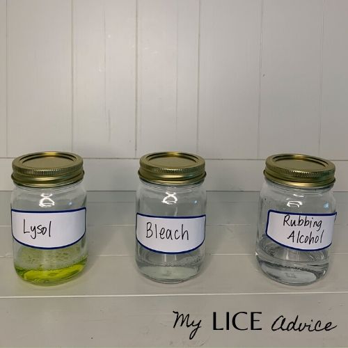 3 jars of household cleaners to test against killing lice: Lysol, Bleach and Rubbing Alcohol
