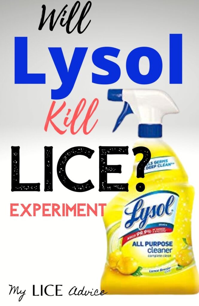 Will Lysol Eliminate Your Parasite Problem - cvdsmpr
