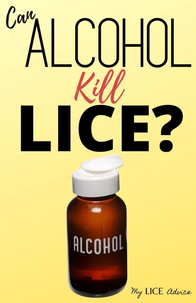 does-alcohol-kill-lice-my-lice-advice