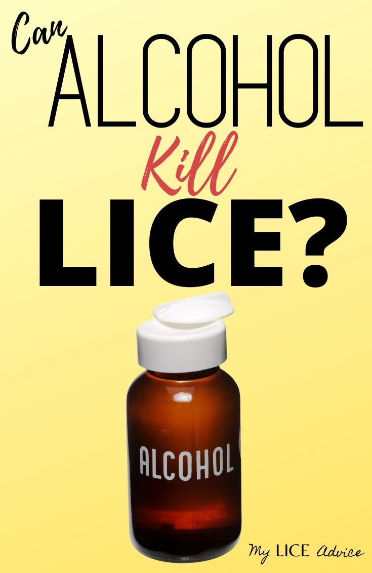 Discover if alcohol kills lice and lice eggs.  And if rubbing alcohol can help you eliminate lice from your home…