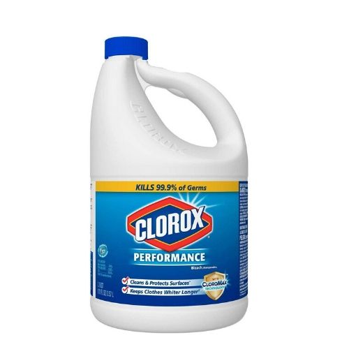 picture of chlorox bleach, presumably to be used to kill lice