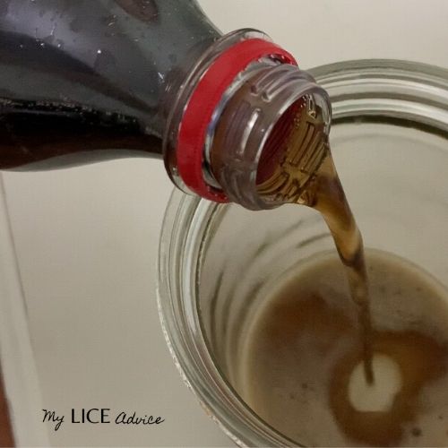 coca cola being poured into a clear mason jar for a lice experiment