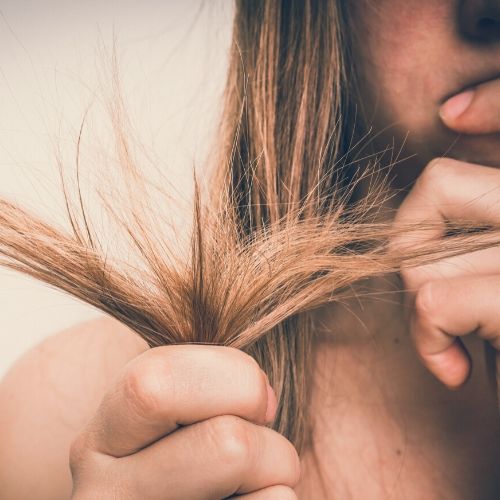 brown damaged hair, presumably damaged by dyeing hair for head lice.