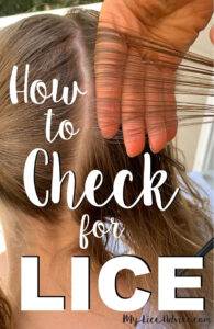 how-to-check-for-lice-hand-placement