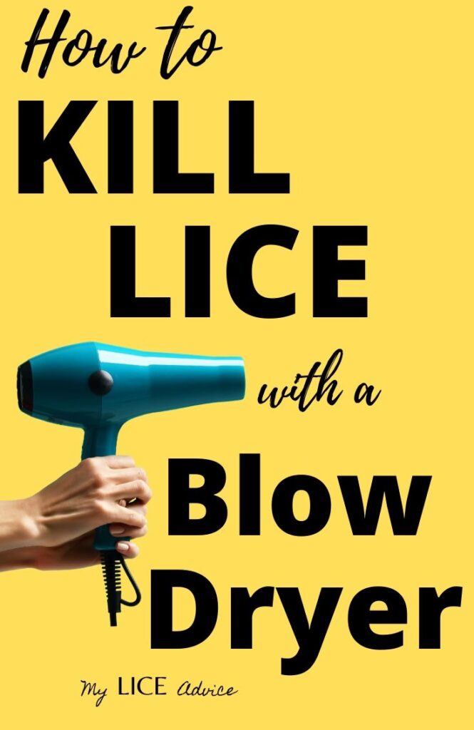 blow-drying-to-kill-lice-and-nits