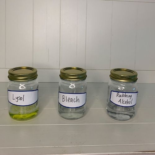 3 mason jars testing effectiveness of cleaners on lice, lysol, bleach, and rubbing alcohol
