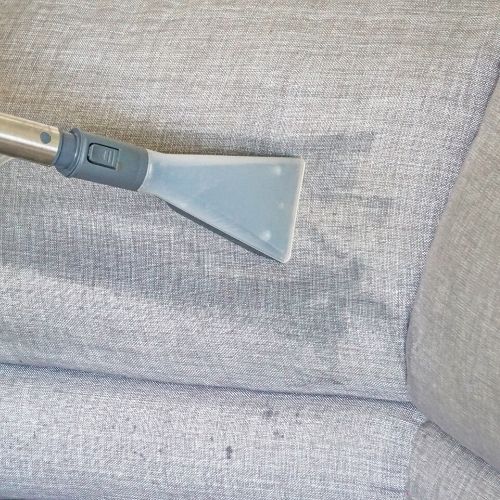 cleaning couch, presumably with lice