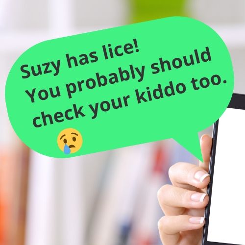 Cell phone with the text message "Suzy has lice! You should check your kiddo too."