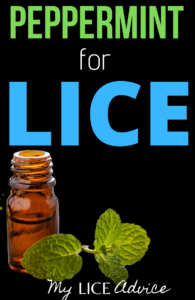peppermint oil and peppermint leaf presumably to be used for head lice