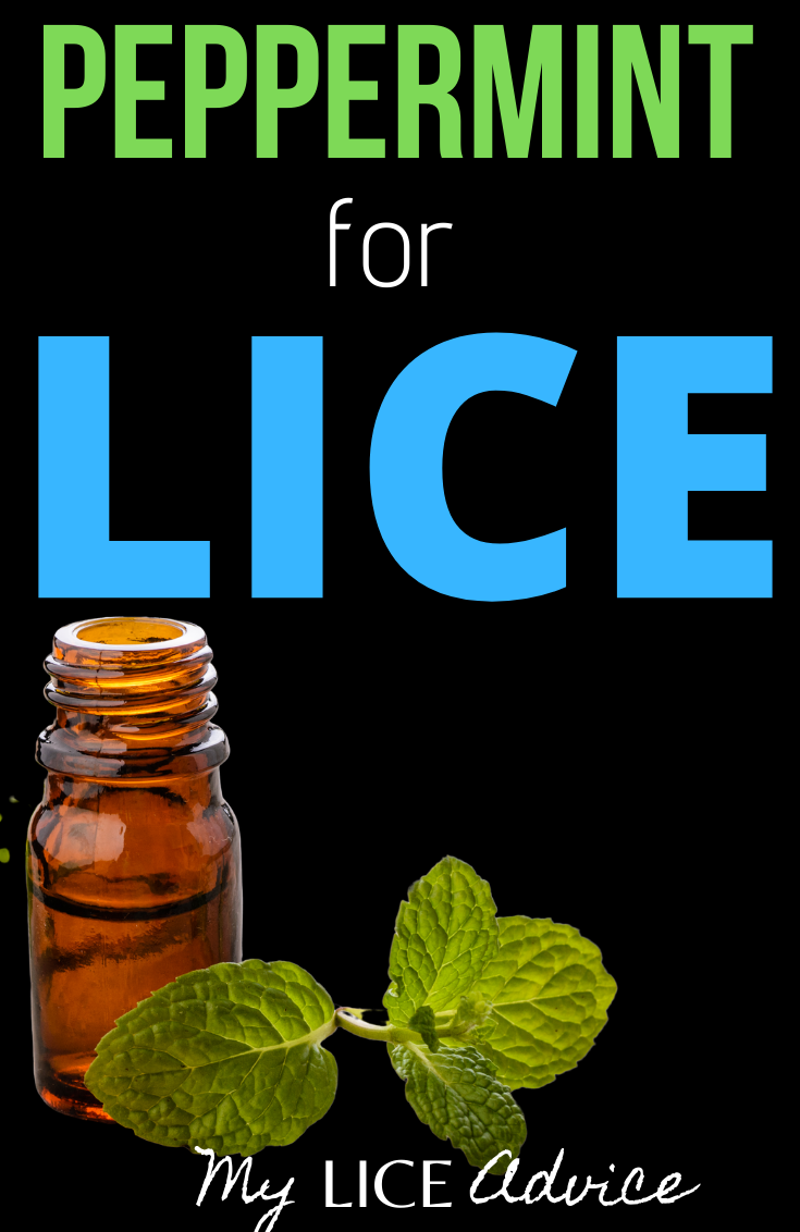Discover if peppermint oil can be used to prevent and treat head lice. Can peppermint oil kill lice and nits?