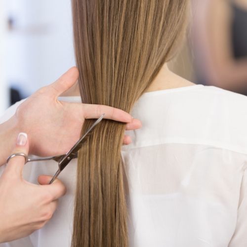 woman getting her hair cut, presumably for head lice