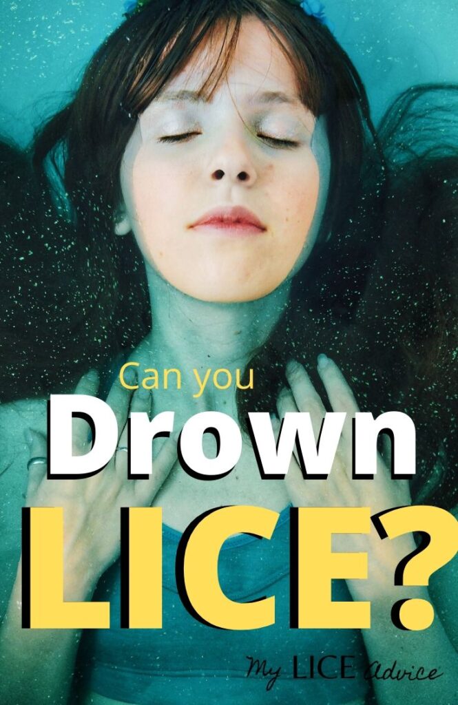 Can You Drown Lice? My Lice Advice