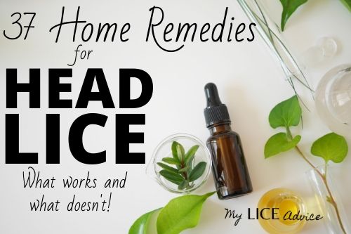 37 Home Remedies For Lice Find Out Which Ones Really Work