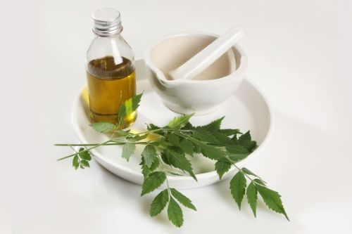 bottle of neem oil and neem oil plant presumably preparing for a neem oil lice treatment