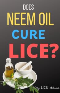 bottle of neem oil and neem plant presumably to be used on lice