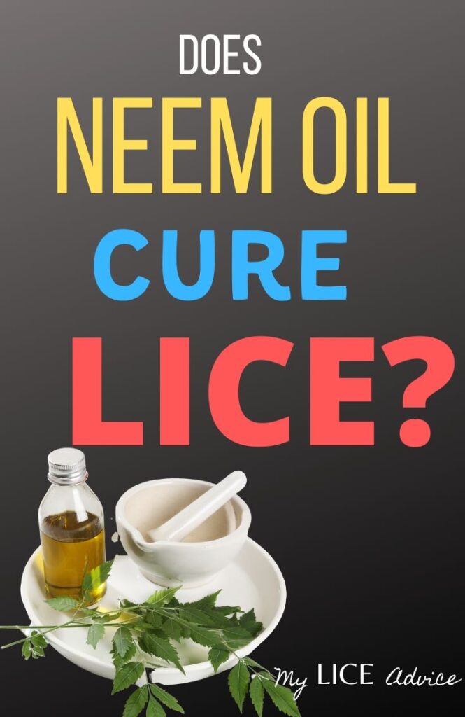 How to Use Neem Oil for Head Lice My Lice Advice