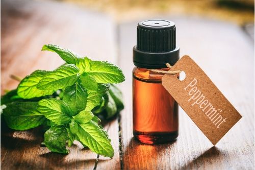 peppermint oil and peppermint leaf presumably to be used for treating or preventing head lice