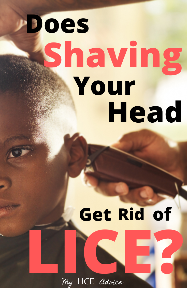 Shaving And Cutting Hair For Head Lice My Lice Advice