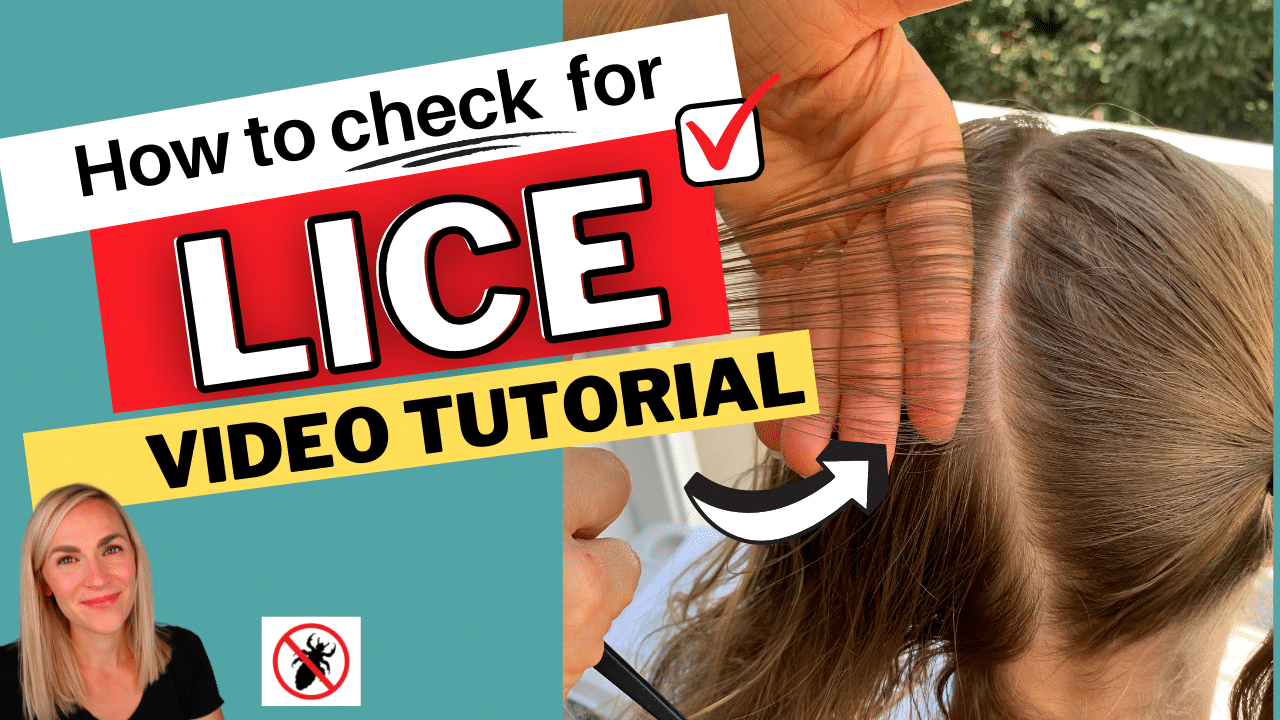 How to check for lice video tutorial thumbnail