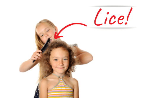 girls sharing hair brushes, which can spread head lice