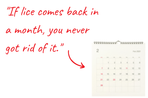 calendar and arrow with words "If lice comes back in a month you never got rid of it"