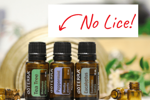 3 lice preventing essential oils.