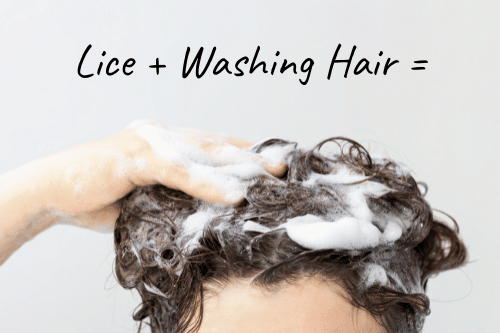 woman with lice washing hair in attempt to get rid of lice