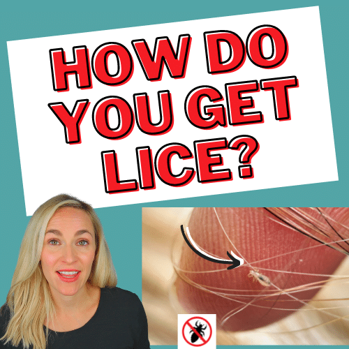 How Do You Get Lice Video Tutorial My Lice Advice
