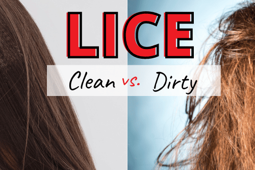 Do Lice Like Clean or Dirty Hair - My Lice Advice