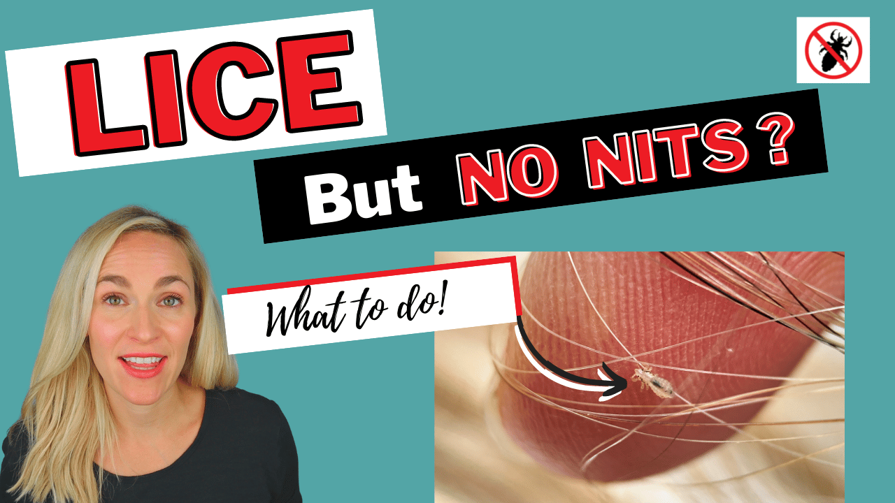 arrow pointing to lice bug on a finger. Lice expert with the words, "lice but no nits"