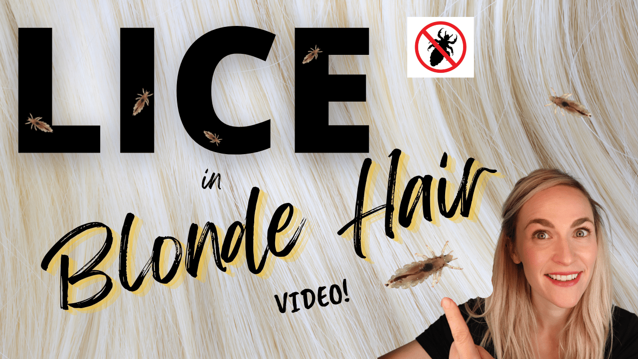 lice expert pointing to lice in blonde hair