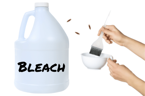 bottle of bleach and hair bleach and head lice